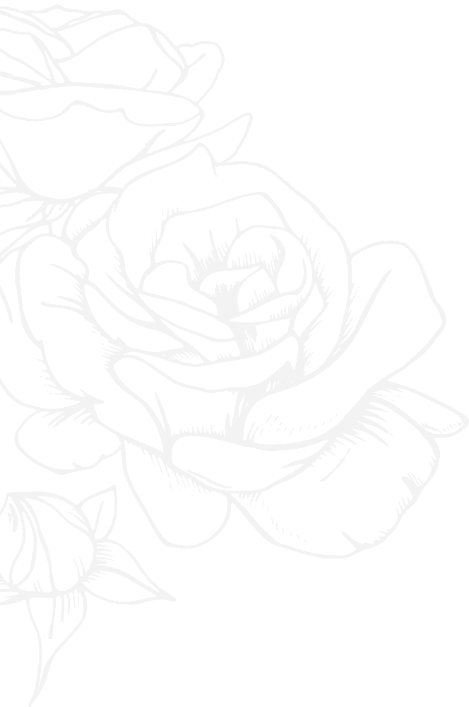 Gray lineart illustration of a large rose